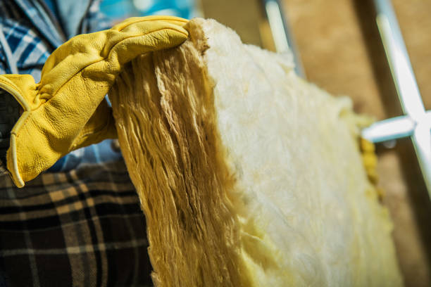 Best Insulation for Specific Applications in Ripley, OH