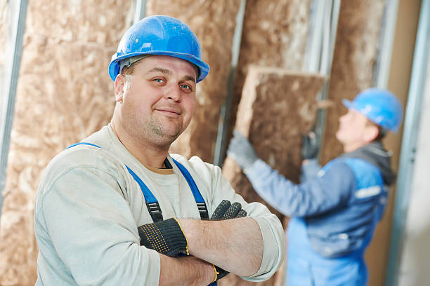 Best Insulation Maintenance and Repair in Ripley, OH