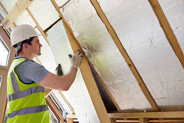 Best Cellulose Insulation in Ripley, OH
